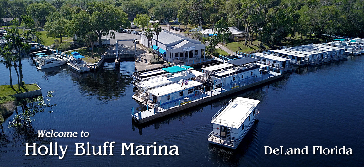 Pontoon Boat Rentals Holly Bluff Marina